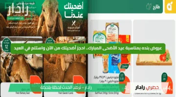 عروض بنده بمناسبة عيد الأضحى المبارك.. احجز أضحيتك من الآن واستلم في العيد