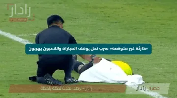 «كارثة غير متوقعة» سرب نحل يوقف المباراة واللاعبون يهربون