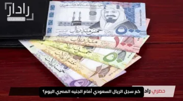 كم سجل الريال السعودي أمام الجنيه المصري اليوم؟.. أسعار الصرف في البنوك المصرية السبت 16 مايو 2025