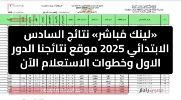 «لينك مُباشر» رابط نتائج السادس الابتدائي 2025 موقع نتائجنا الدور الاول وخطوات الاستعلام الآن