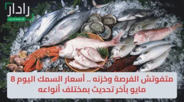 متفوتش الفرصة وخزنه .. أسعار السمك اليوم 8 مايو بآخر تحديث بمختلف أنواعه