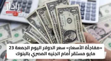 «مفاجأة الأسعار» سعر الدولار اليوم الجمعة 23 مايو مستقر أمام الجنيه المصري بالبنوك