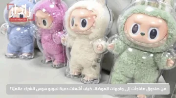 من صندوق مفاجآت إلى واجهات الموضة.. كيف أشعلت دمية لابوبو هوس الشراء عالميًا؟