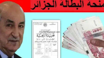 منحة البطالة في الجزائر .. خطوات التسجيل في المنحة وأهم الشروط
