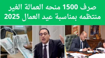 تفاصيل صرف منحة العمالة الغير منتظمة عيد العمال 2025 وأبرز شروط استحقاقها