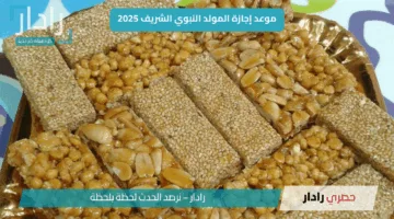 موعد إجازة المولد النبوي الشريف 2025 في مصر للعاملين بالحكومة والقطاع الخاص.. تعرف على التفاصيل وأبرز مظاهر الاحتفال