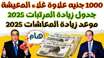 “بشرى سارة لأصحاب المعاشات”.. موعد صرف زيادة المعاشات 2025 بنسبة 15 % ورفع الحد الأدنى للأجور 2025 ودعم الحماية الاجتماعية
