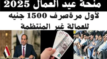 “1500 جنيه”.. موعد صرف منحة عيد العمال 2025 وشروط استحقاقها لكافة المستفيدين