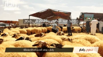 موعد وقفة عرفات وعيد الأضحى 2025 فلكياً في مصر وتفاصيل الإجازات الرسمية في مصر