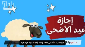 موعد عيد الأضحى 2025 وعدد أيام الإجازة الرسمية للموظفين في الحكومة والقطاع الخاص والبنوك – اكتشف التفاصيل الكاملة الآن