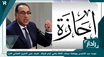 موعد عيد الأضحى ووقفة عرفات 2025 باقي أيام قليلة.. تعرف على التاريخ الفلكي الآن!