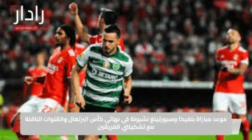 موعد مباراة بنفيكا وسبورتينغ لشبونة في نهائي كأس البرتغال والقنوات الناقلة مع تشكيلتي الفريقين