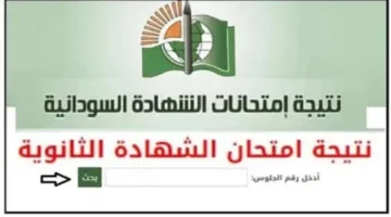 استخراجها.. رابط موقع استخراج الشهادة السودانية 2023 متاح الآن عبر result.sudani.sd