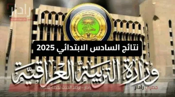 لينك مباشر .. نتائج السادس الابتدائي 2025 نينوي – البصرة – اربيل – الرصافة والمحافظات الأخرى بالاسم والرقم الامتحاني