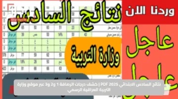 نتائج السادس الابتدائي 2025 PDF | كشف درجات الرصافة 1 و2 و3 عبر موقع وزارة التربية العراقية الرسمي