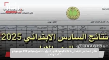 نتائج السادس الابتدائي 2025 البصرة الدور الأول – تحميل مباشر PDF عبر موقع نتائجنا وناجح
