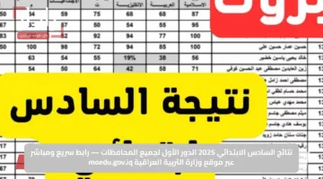نتائج السادس الابتدائي 2025 الدور الأول لجميع المحافظات — رابط سريع ومباشر عبر موقع وزارة التربية العراقية moedu.gov.iq