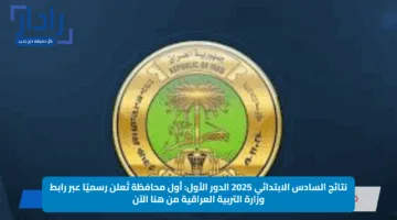 نتائج السادس الابتدائي 2025 الدور الأول: أول محافظة تُعلن رسميًا عبر رابط وزارة التربية العراقية من هنا الآن