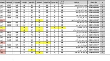 عاجل.. نتائج الرصافة الأولى السادس الابتدائي 2025 تم رفعها رسميًا اعرف الرابط المباشر ونسبة النجاح