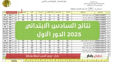 عموم المحافظات.. نتائج السادس الابتدائي 2025 الكرخ الثالثه الدور الاول تصدر قريبًا عبر موقع رسمي
