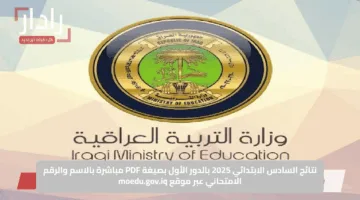 نتائج السادس الابتدائي 2025 بالدور الأول بصيغة PDF مباشرة بالاسم والرقم الامتحاني عبر موقع moedu.gov.iq