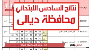 عبر موقع الوزارة.. نتائج السادس الابتدائي 2025 ديالى والمحافظات الأخرى حين صدورها
