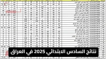 مبرووووك للجميع .. نتائج الصف السادس الابتدائي في العراق 2025 .. رابط مباشر وخطوات الاستعلام