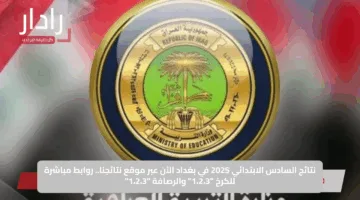 نتائج السادس الابتدائي 2025 في بغداد الآن عبر موقع نتائجنا.. روابط مباشرة للكرخ “1،2،3” والرصافة “1،2،3”