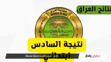 نتائج السادس الابتدائي 2025 العراق.. كيفية الاستعلام عبر موقع وزارة التربية و”نتائجنا”