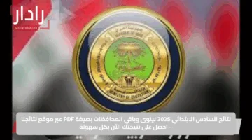 نتائج السادس الابتدائي 2025 نينوى وباقي المحافظات بصيغة PDF عبر موقع نتائجنا – احصل على نتيجتك الآن بكل سهولة
