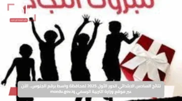 نتائج السادس الابتدائي الدور الأول 2025 لمحافظة واسط برقم الجلوس.. الآن عبر موقع وزارة التربية الرسمي moedu.gov.iq