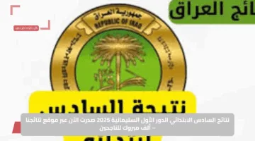 حملها الآن باسم الطالب.. نتائج الصف السادس الابتدائي 2025 الدور الأول لمحافظة السليمانية عبر موقع نتائجنا الرسمي