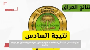 نتائج السادس الابتدائي الرصافة 1 متوفرة الآن.. اعرف نتيجتك فورًا عبر موقع نتائجنا