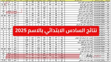 pdf لينك نتائج السادس الابتدائي بالاسم 2025 عبر موقع وزارة التربية العراقية ونتائجنا في عموم المحافظات العراقية
