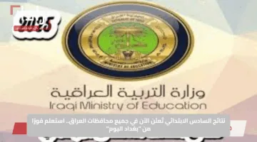 نتائج السادس الابتدائي تُعلَن الآن في جميع محافظات العراق.. استعلم فورًا من “بغداد اليوم”