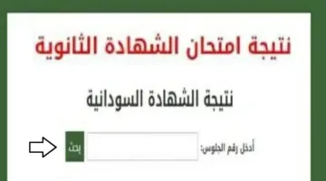 “طلع نتيجتك بالدرجـات” رابـط الاستعلام عن نتيجة الشهادة السودانية 2025 بالاسم ورقم الجلـوس عبر result.sudani.sd