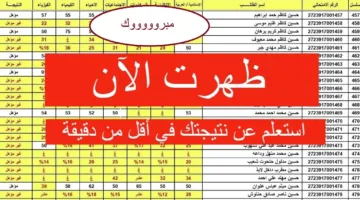 رابط مباشر.. نتائج السادس الابتدائي الدور الأول 2025 محافظتي الرصافة الأولى والكرخ الثالثة عبر موقع نتائجنا