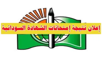 لينك معرفه نتيجة الشهادة السودانية 2023 في لحظات عبر result.sudani.sd