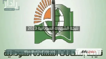 نتيجة الشهادة السودانية 2023 رابط الاستعلام السريع وكل التفاصيل التي تحتاجها