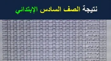 اعرفها حالا من البيت.. نتيجة الصف السادس الابتدائي 2025 بالاسم ورقم الجلوس her موقع وزارة التربية