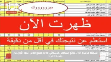 نتيجتك جاهزة PDF.. نتائج السادس الابتدائي 2025 صلاح الدين الدور الأول عبر منصة نتائجنا 
