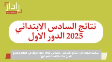 نتيجتك ظهرت الآن: نتائج السادس الابتدائي 2025 الدور الأول في كربلاء وصلاح الدين متاحة للاستعلام فورًا