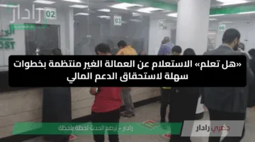 «هل تعلم» الاستعلام عن العمالة الغير منتظمة بخطوات سهلة لاستحقاق الدعم المالي