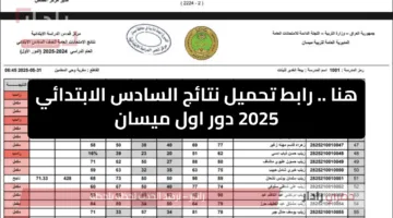 ظهرت الان.. نتائج الصف السادس الإبتدائي بالعراق – كركوك – ميسان – كربلاء 2025 عبر موقع نتائجنا