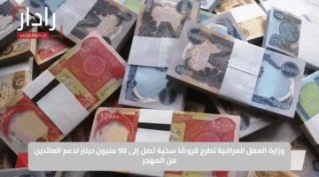 وزارة العمل العراقية تطرح قروضًا سخية تصل إلى 50 مليون دينار لدعم العائدين من المهجر
