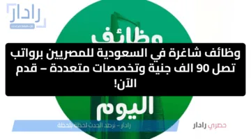 وظائف شاغرة في السعودية للمصريين برواتب تصل 90 ألف جنية وتخصصات متعددة – قدم الآن!