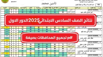 «هلهلولييييش!» صدرت نتائج السادس الابتدائي 2025 الأنبار.. عبر نتائجنا