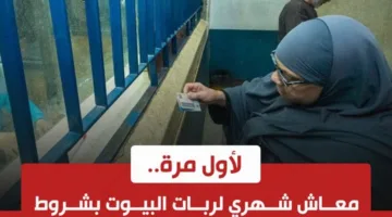 فرصة ذهبية.. معاشات ربات البيوت في مصر كيف تحصلين على دخل شهري مضمون؟