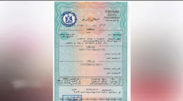 خدمة ذكية.. إطلاق خدمة استخراج شهادة الميلاد الرقمية للأسر الحاضنة الآن