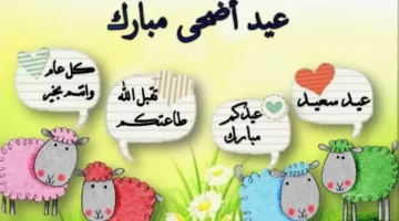 أجمل صور.. تهنئة عيد الاضحى 2025 صور وعبارات تعد وسيلة مميزة لإظهار الفرح والسرور